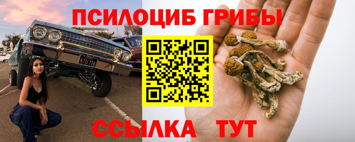 дарнет шоп  Галлюциногенные грибы MAGIC MUSHROOMS  Вход с VPN  Кирово-Чепецк 