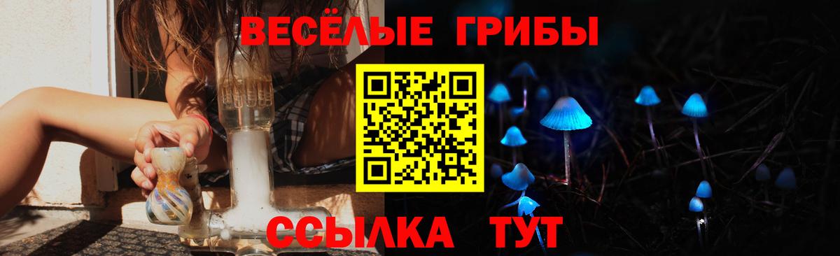 Псилоцибиновые грибы Psilocybe Кирово-Чепецк
